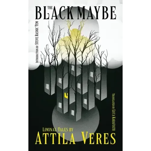 The Black Maybe: Liminal Tales