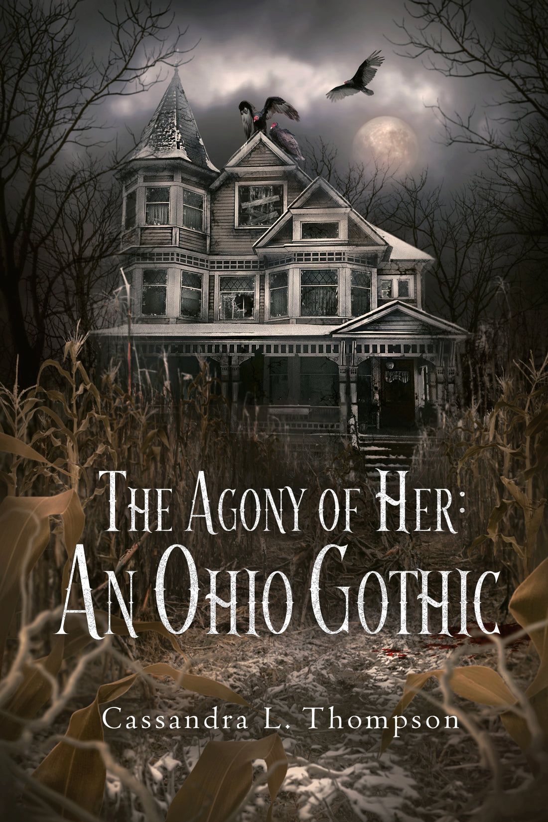 The Agony of Her: An Ohio Gothic (PRE-ORDER)