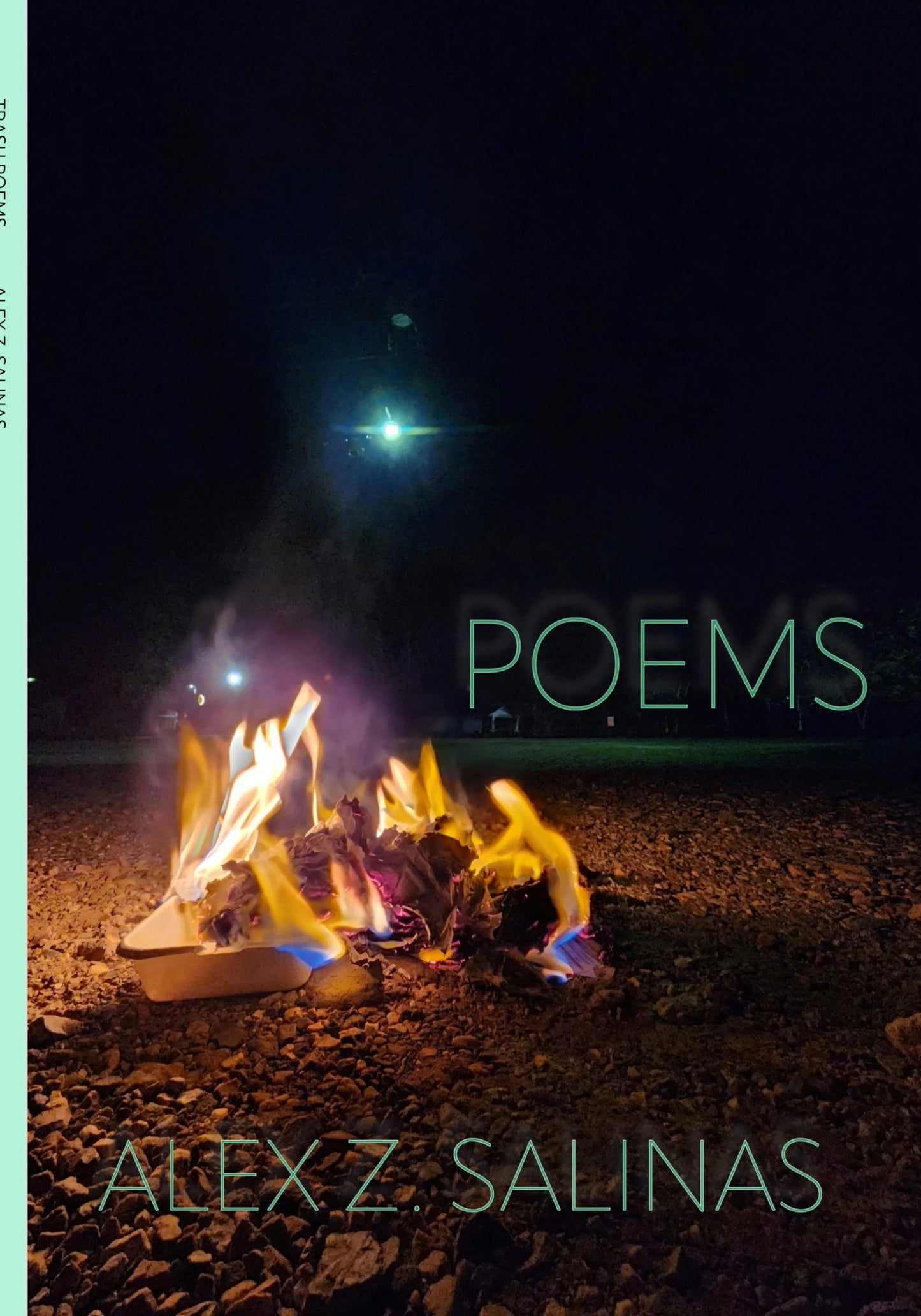 Trash Poems