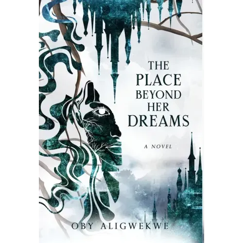 The Place Beyond Her Dreams