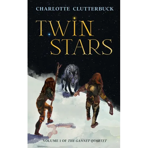 Twin Stars