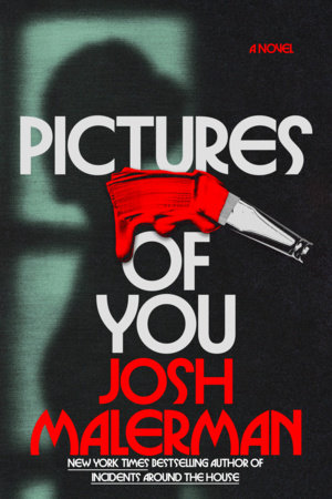 Pictures of You: A Novel