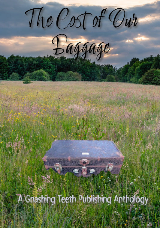 Cost of Our Baggage
