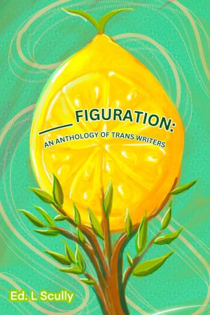 _____ figuration: an anthology of trans writers