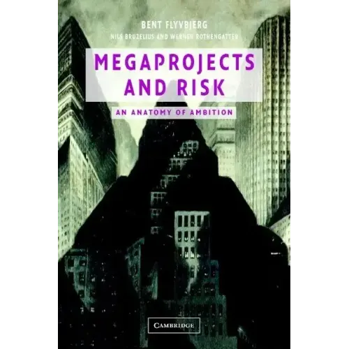 Megaprojects and Risk
